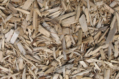 biomass boilers Tredworth